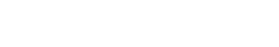 Bors Press